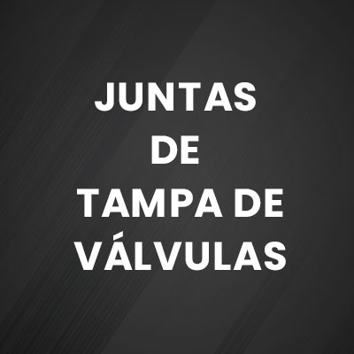 JUNTAS DE TAMPA DE VÁLVULAS